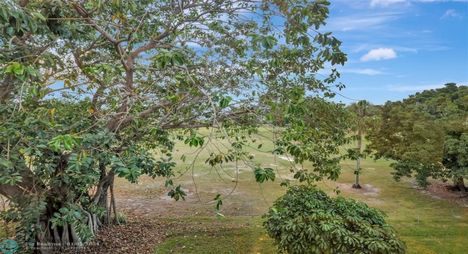 Golf view from balcony.