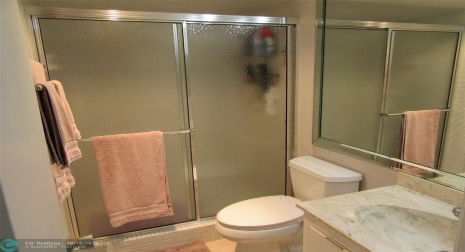 Guest Bath with walk-in shower