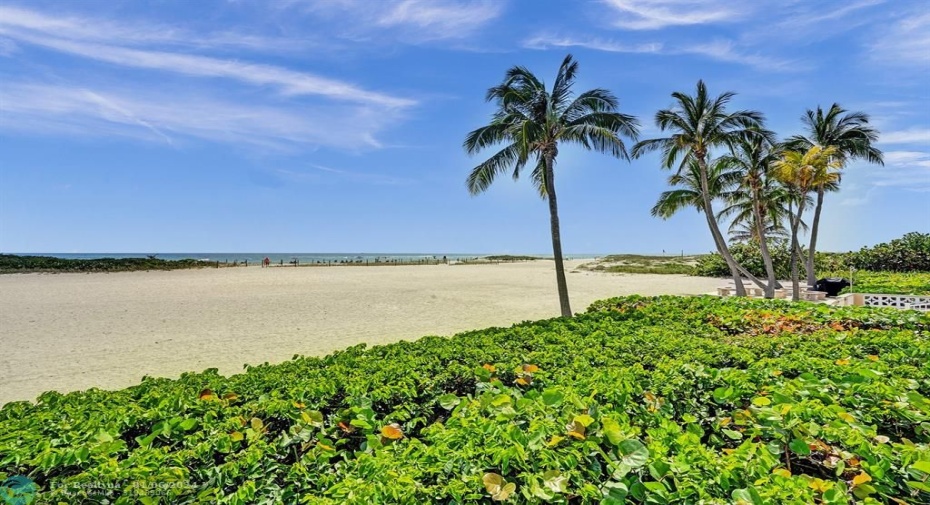 Gorgeous oceanfront views.