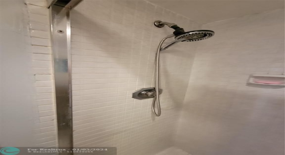 Master Shower