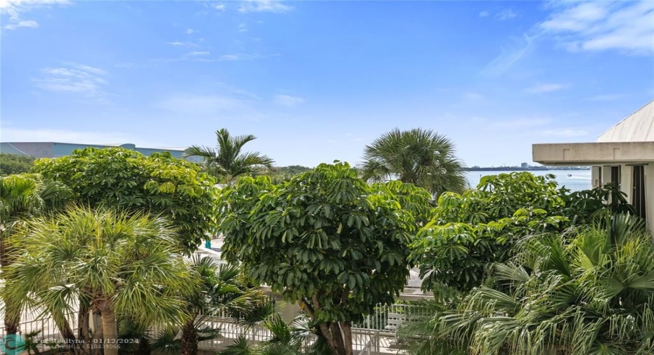 view from balcony