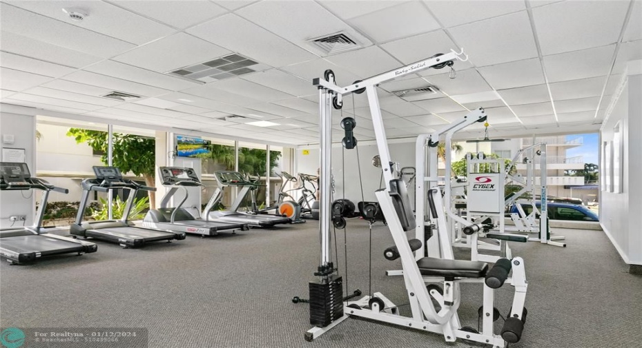 Gym
