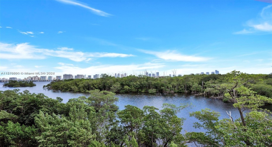Beautiful serene views  of Intracoastal and Oleta River State Park