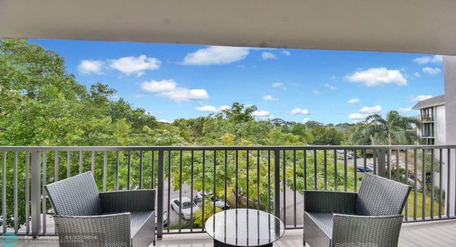 Tree Top View from Balcony
