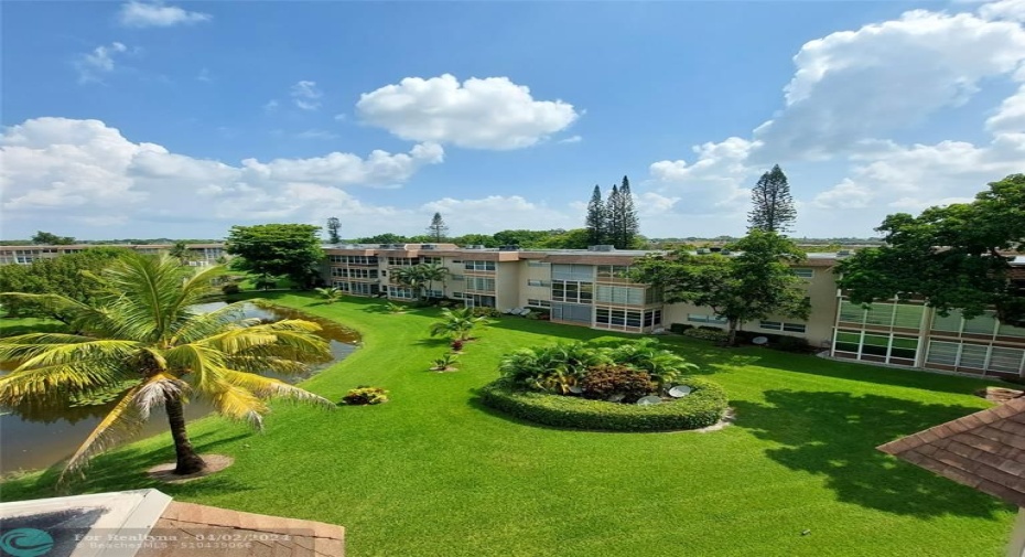 Grounds