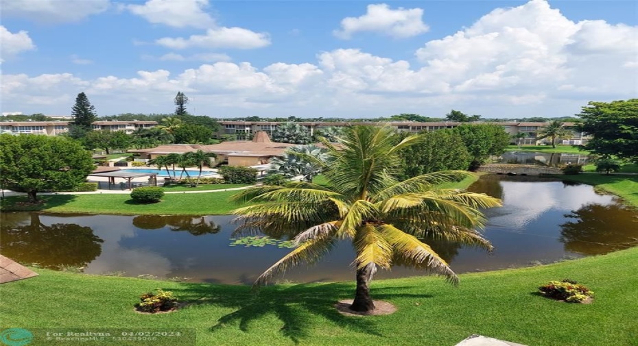 Grounds