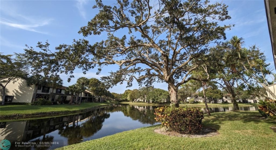 Lakeview Can Be See From every Room