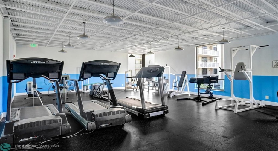 Gym