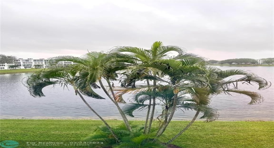 View From Sun Room Floor to Ceiling Windows