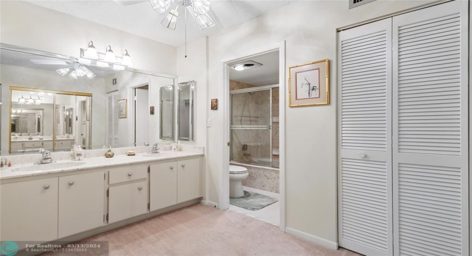 Master Bath vanity