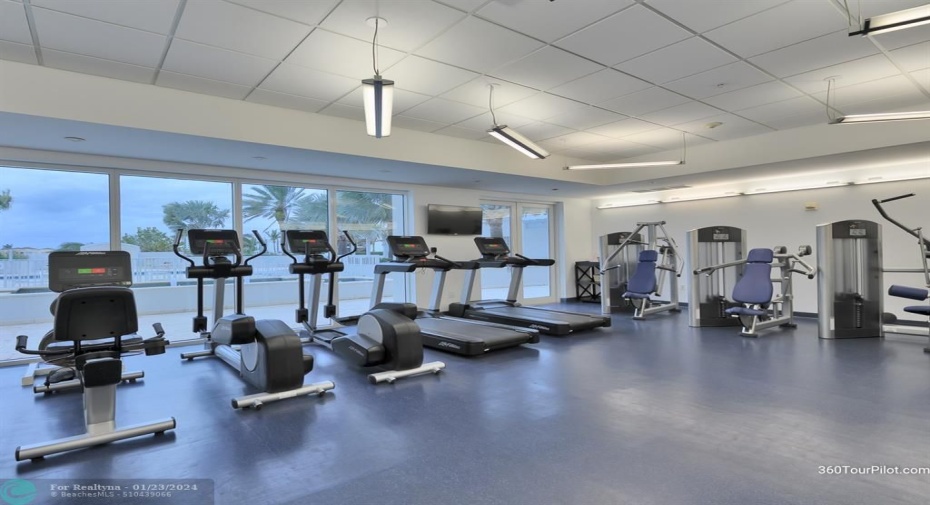 Gym