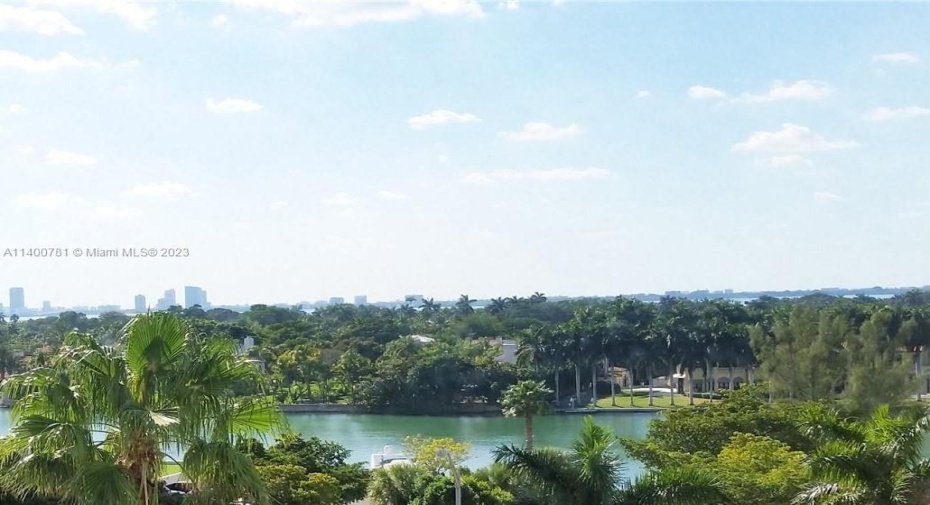 View