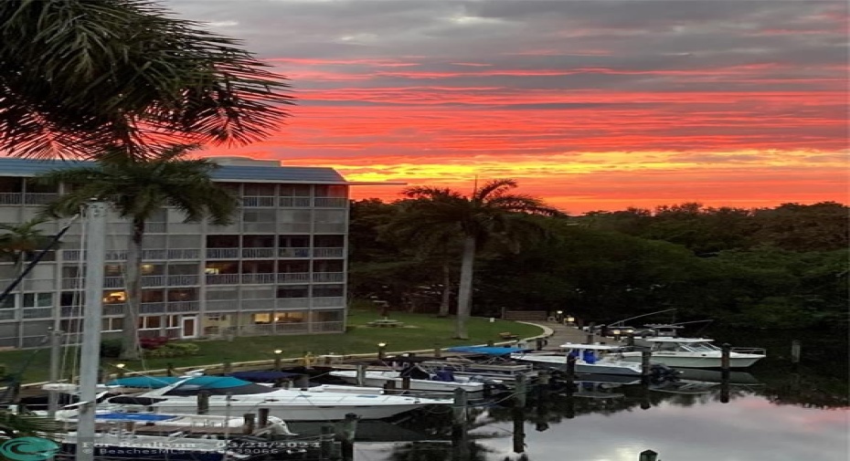 Sunsets and palm trees with a marina view
