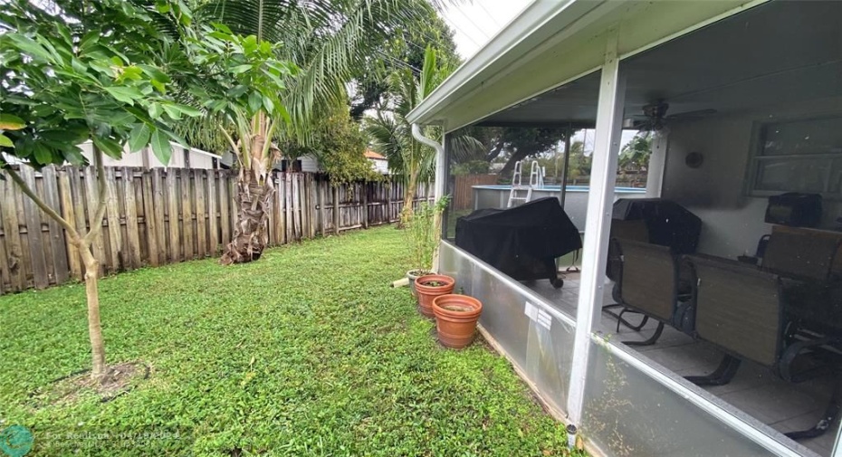 Backyard