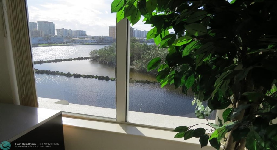 VIEW FROM BEDROOM