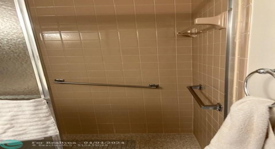 Master Bath Shower