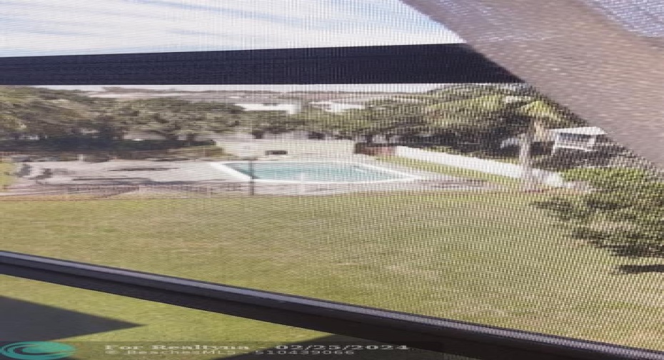 View From Patio