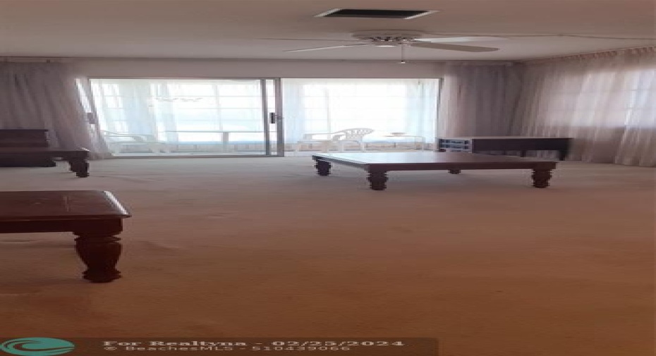 Large, Bright Living Room