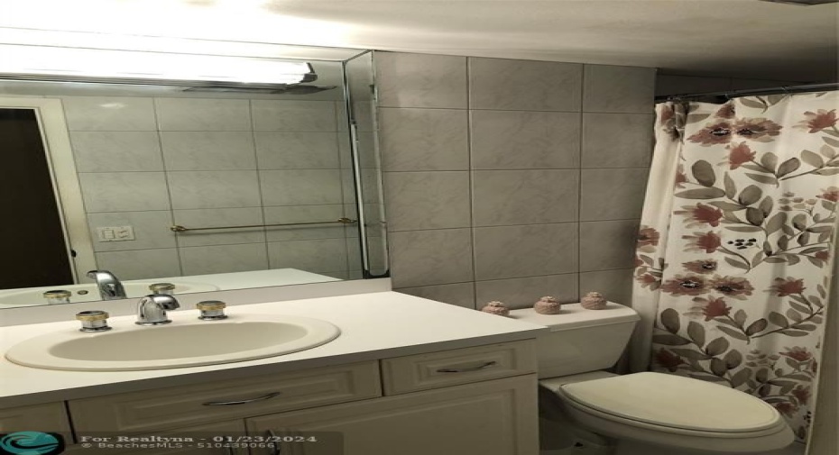 Guest bathroom