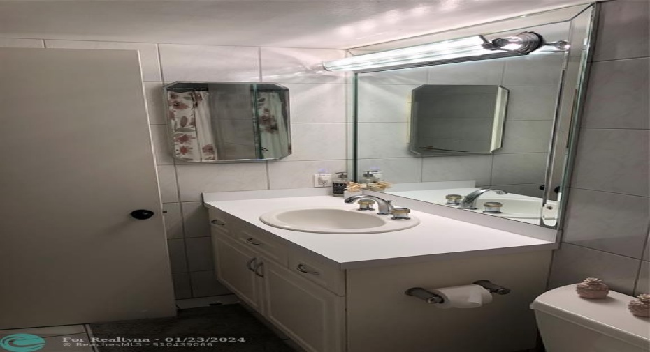 Guest bathroom