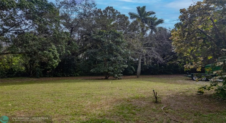 Backyard