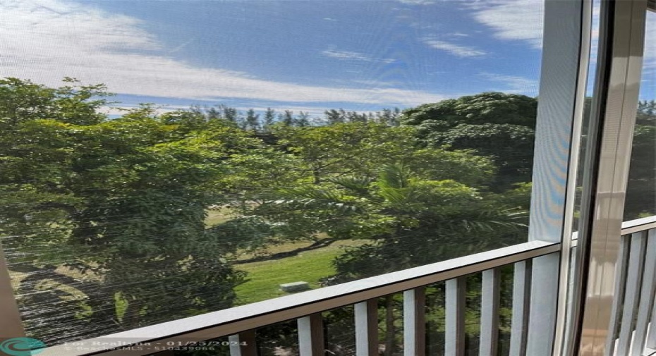 Golf View