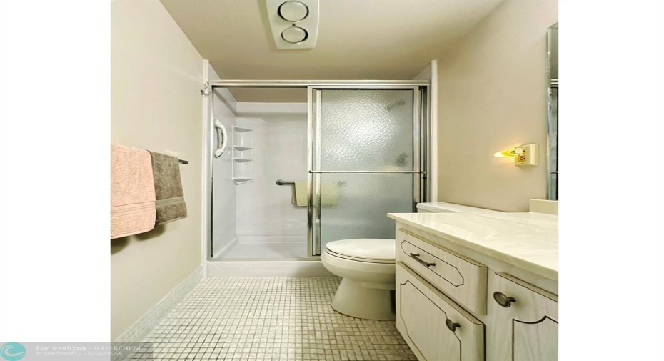 Glass Door Shower Enclosure in Primary Bathroom