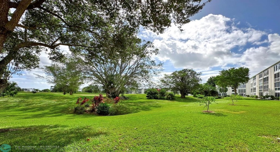 Expansive Garden View from Patio
