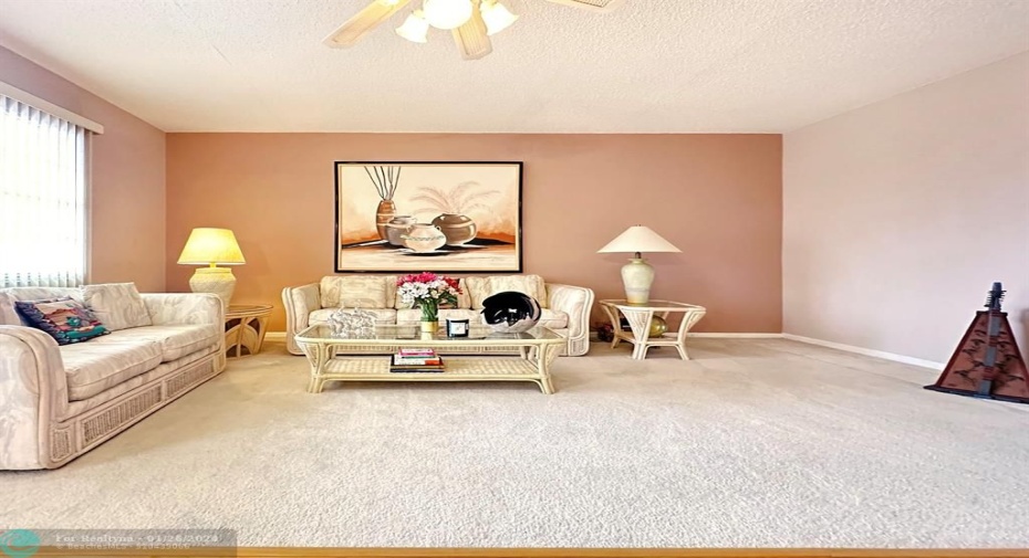 Spacious Furnished  Living Area