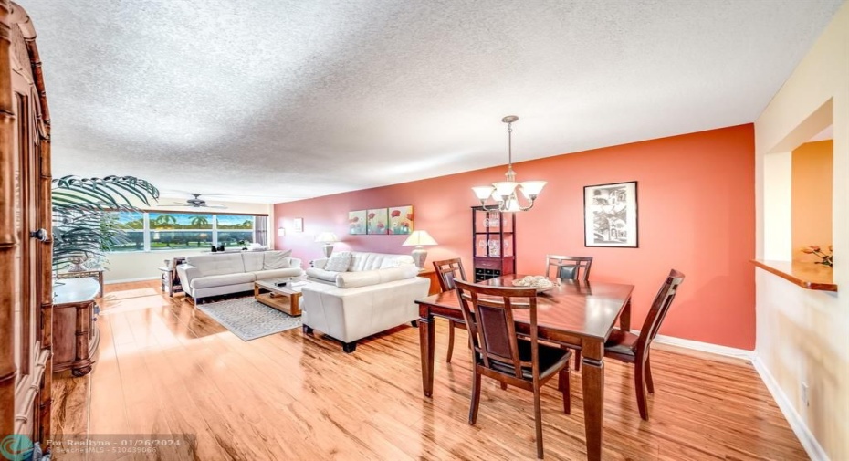 Dining / Living Room
