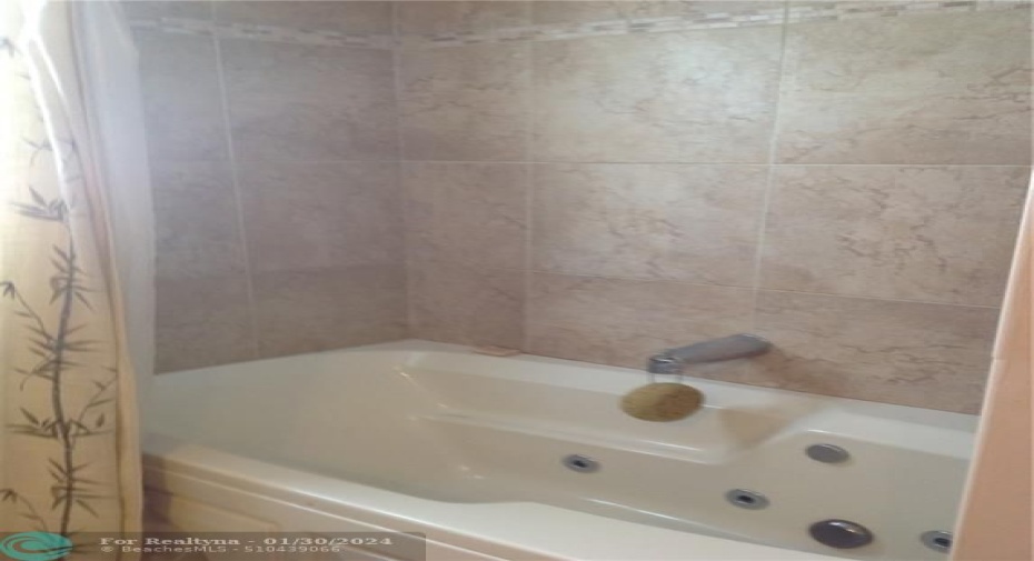 Master Bathroom Jet Tub