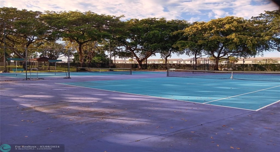 tennis/pickeball