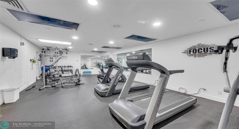 Men and Women Gyms