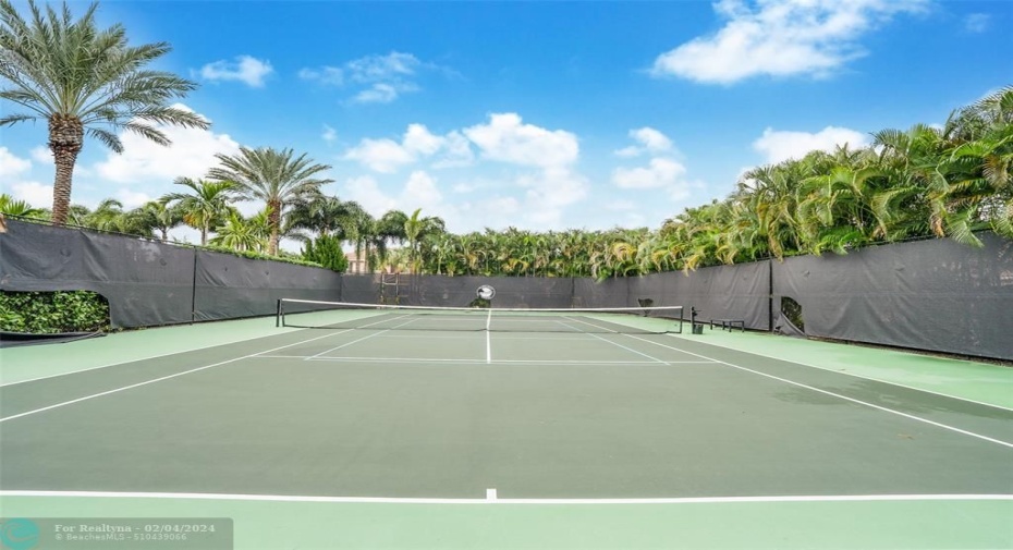 Tennis court