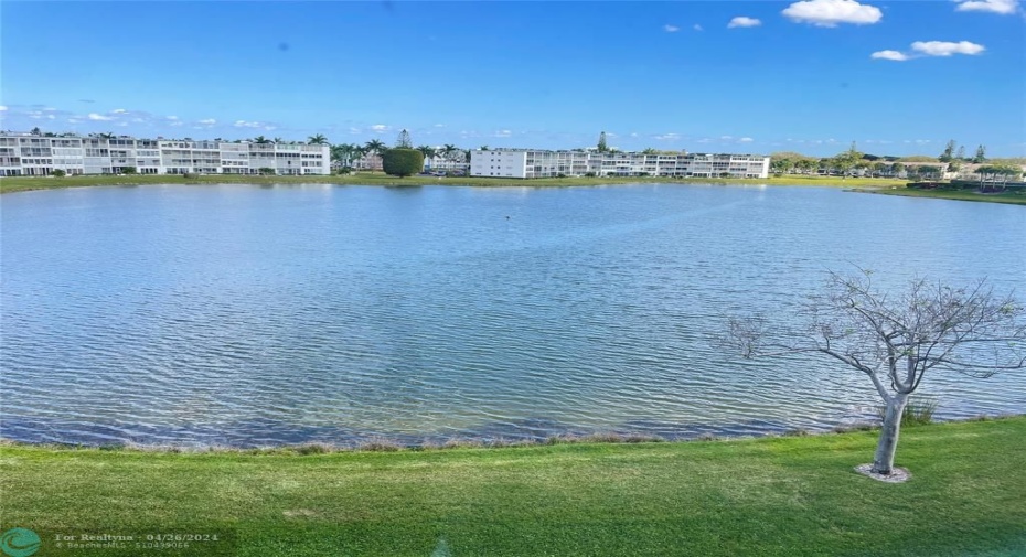 Beautiful view from your back porch/balcony.