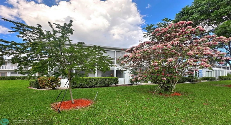 Beautiful Landscaped Buildingr