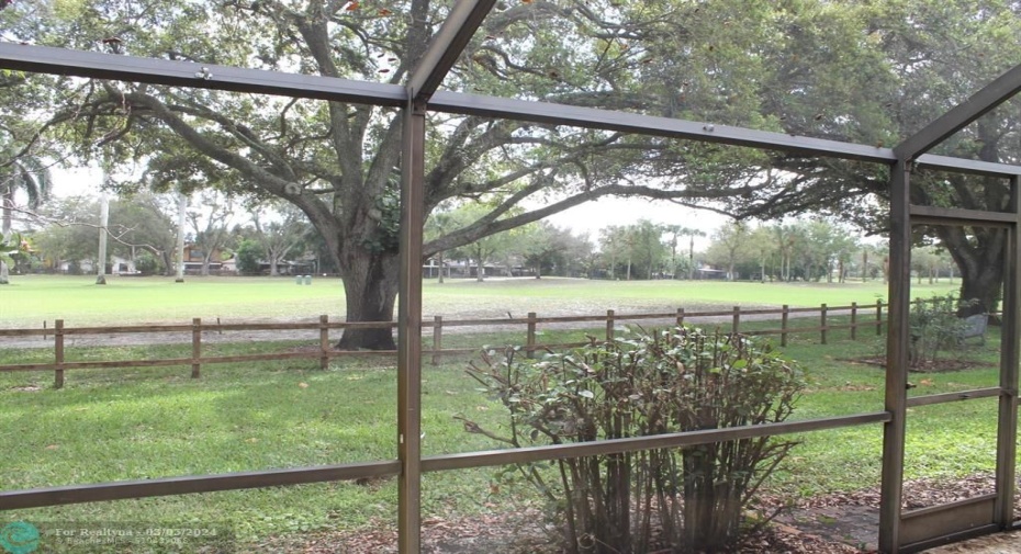 Porch view