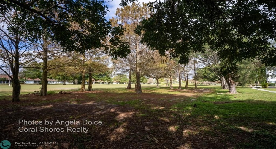 Walking Trail