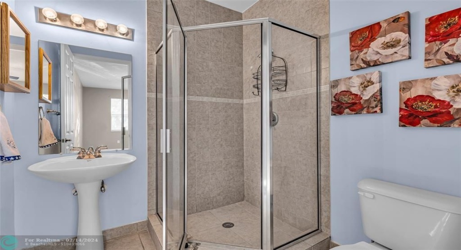 Bathroom off lower level bedroom.