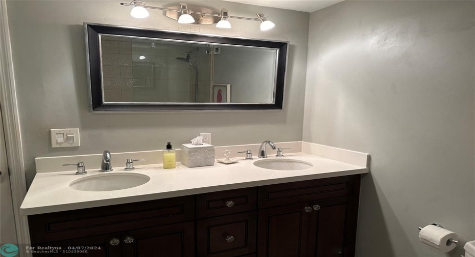 Dbl Sink