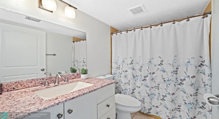 Granite counters & new Vanity light