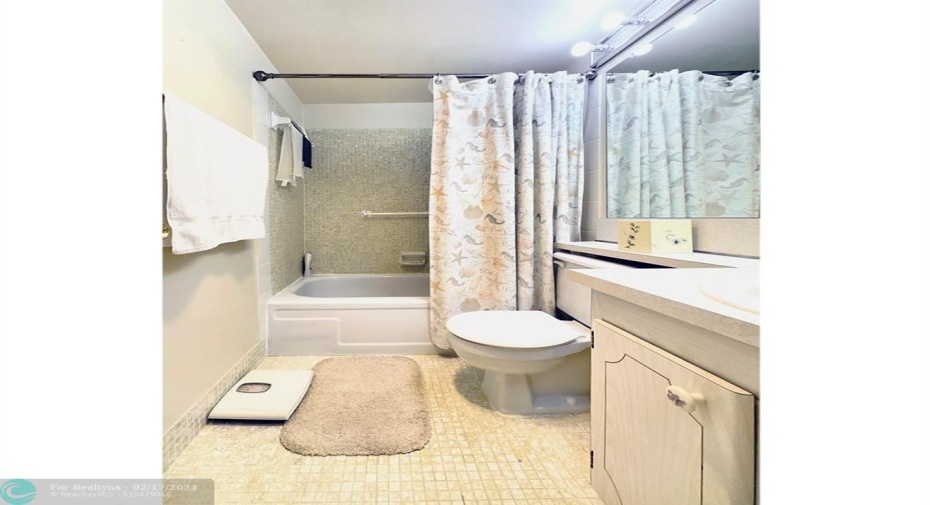 Tub/Shower in Primary Bath