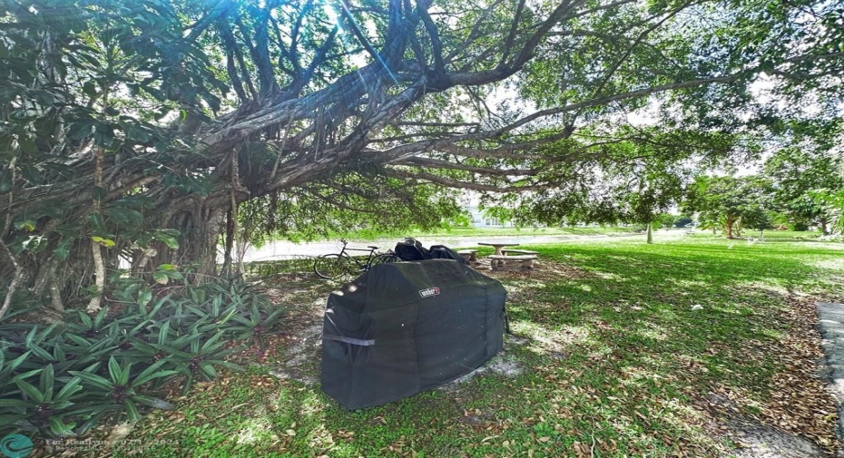 CommonBBQ Area