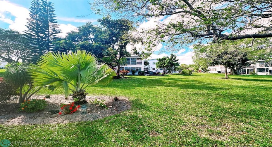 Surrounding Garden