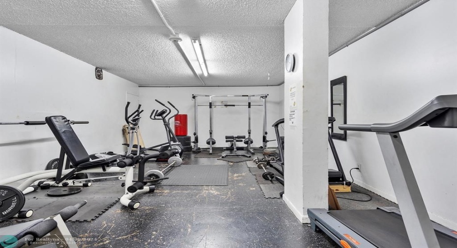 GYM