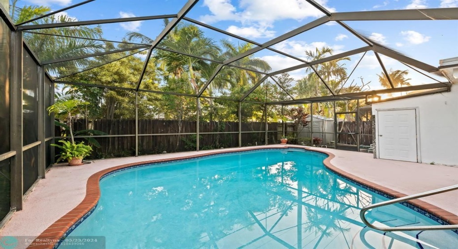 Photo: another view of the pool and pool shed