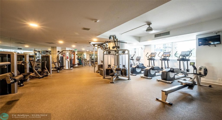 Gym equipment