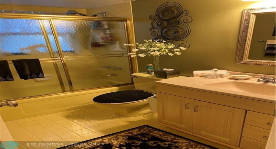 Guest Bathroom Dim