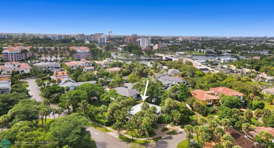 AERIAL