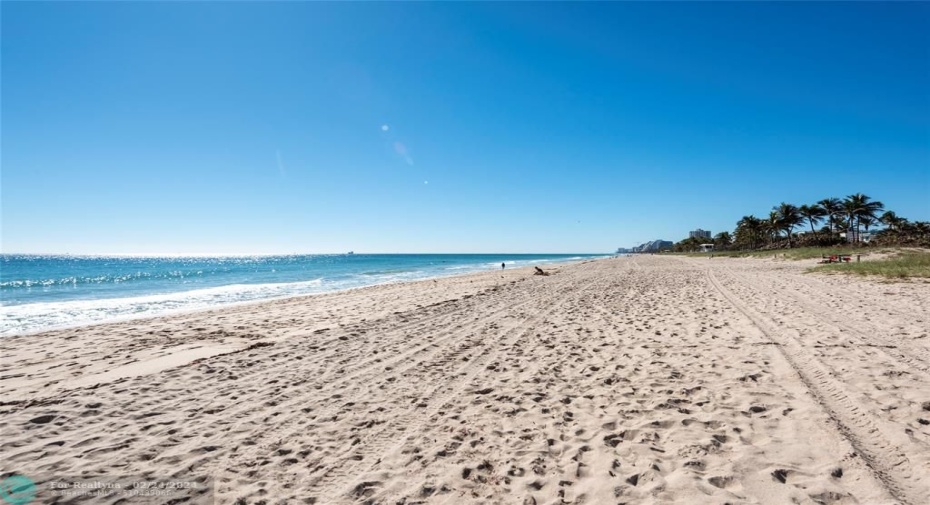 Walk the Beach